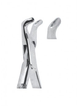 Extracting Forceps